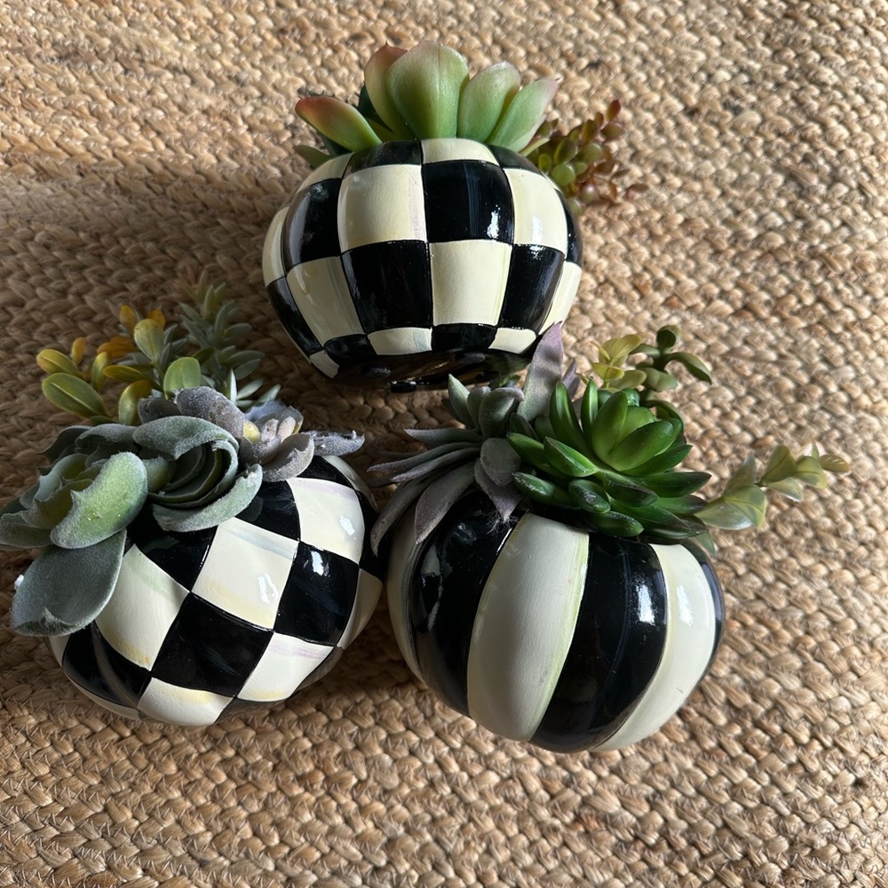 MacKenzie-Childs Black and White Faux Succulent Trio - Picture 8 of 10